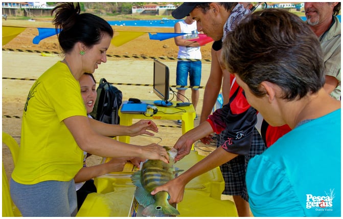 3_torneio_nacional_pesca_esportiva_lago_de_tres_marias_2012_pesca_gerais (101)